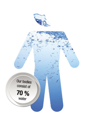 Image depicting how much of the human body is made up of water