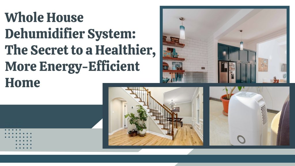 Whole House Dehumidifier System The Secret to a Healthier, More Energy-Efficient Home