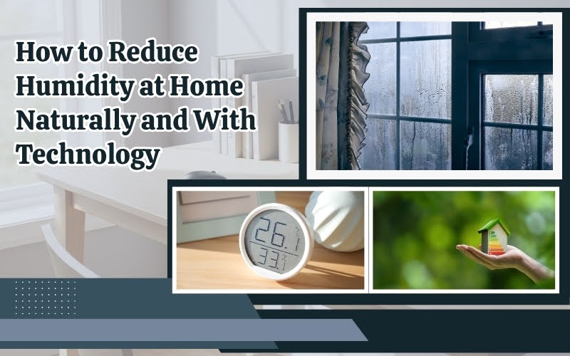 How to Reduce Humidity at Home Naturally and With Technology