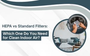 HEPA vs Standard Filters: Which One Do You Need for Clean Indoor Air?