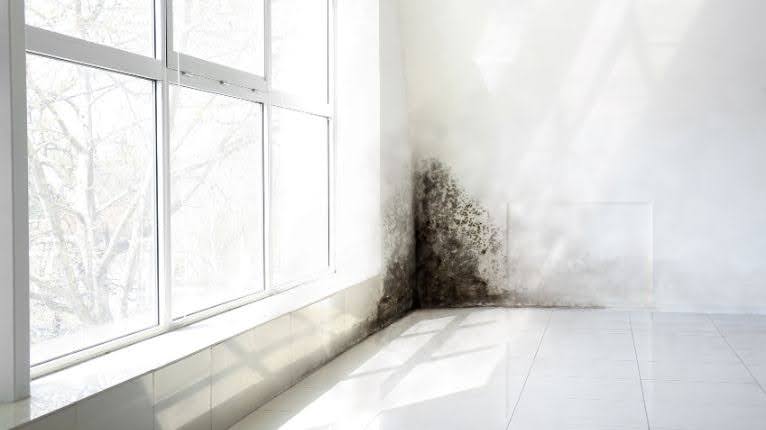 How Does Damp and Condensation Make Things Worse?