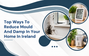 Top Ways To Reduce Mould And Damp In Your Home In Ireland