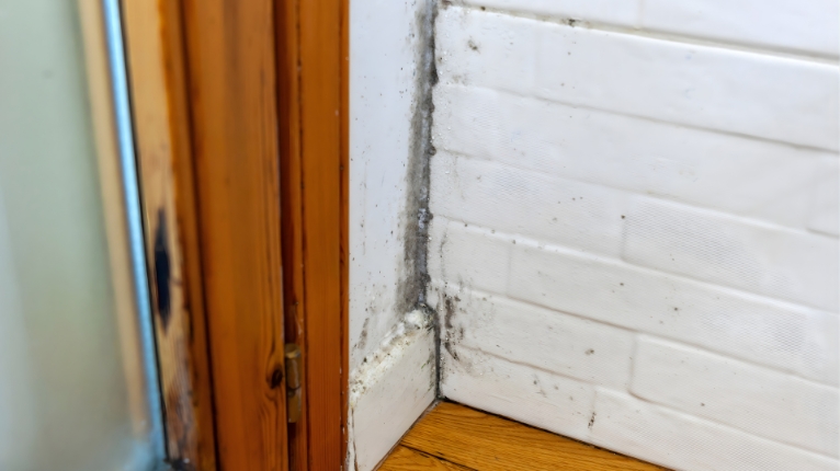 Top Ways To Reduce Mould In Your Home