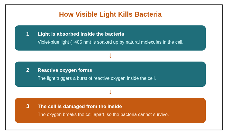 How does visible light kill bacteria?