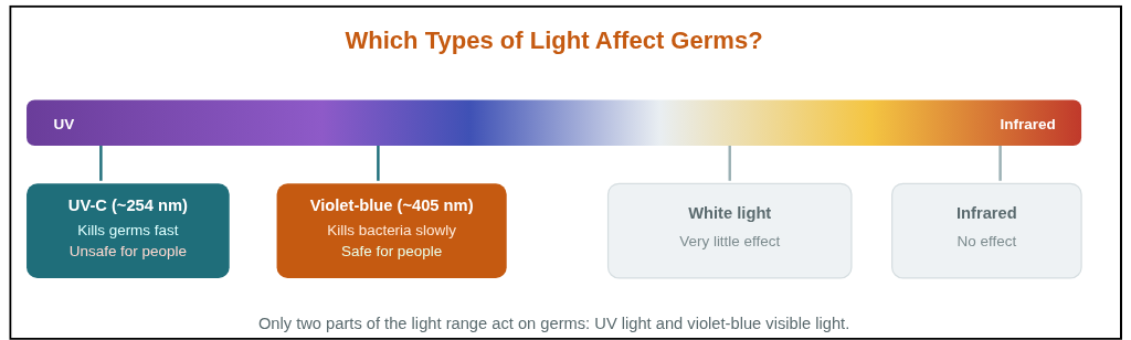 Which types of light kill bacteria?